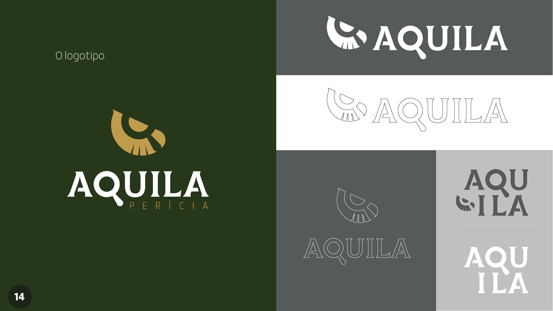 Logotipo Aquila Perícia e as suas variações.